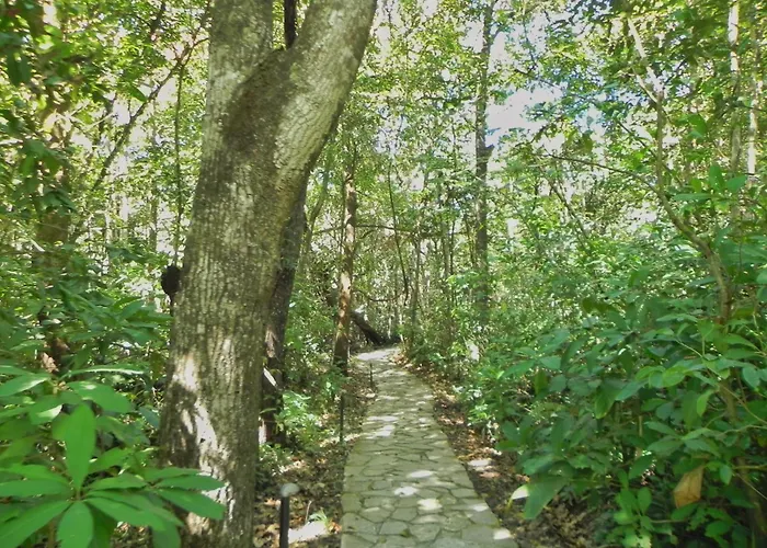 Pousada Éden Águas Termais São Jorge